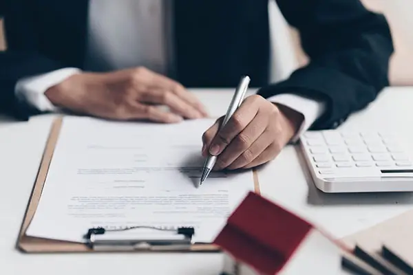 芷兰是什么含义啊